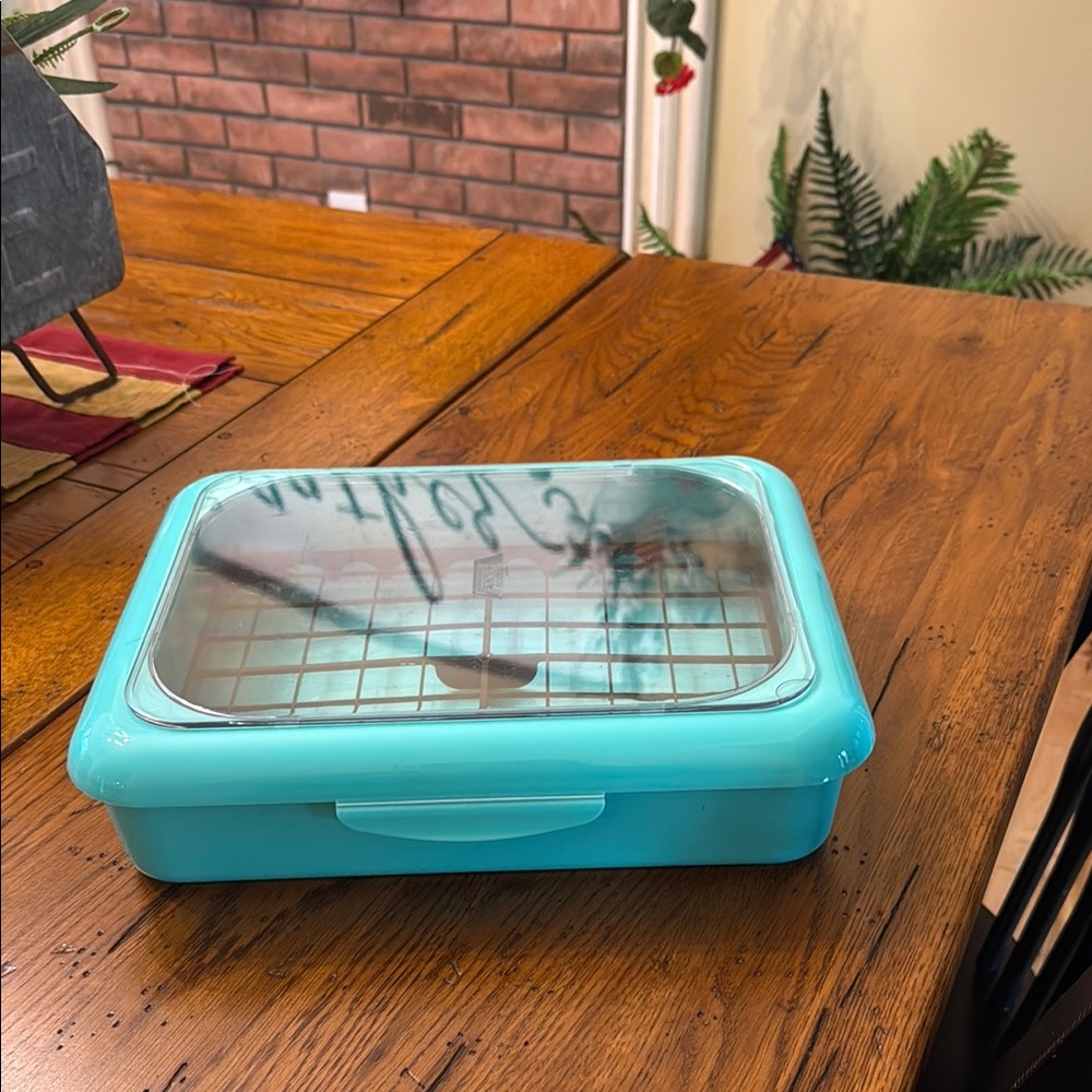 Aqua Food Storage Container with Clear Lid